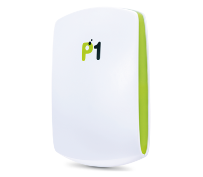 P1 ToGo™ broadband with triple quota