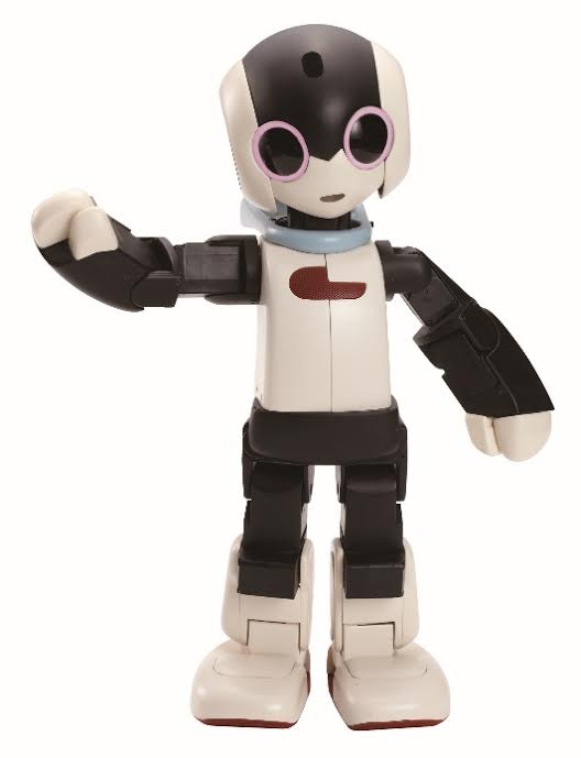 Robi - An Interactive Trilingual Robotic Companion