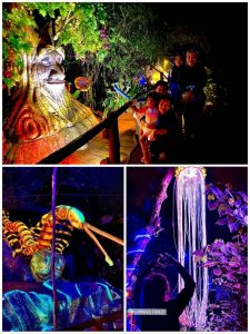 Luminous Forest Lost World of Tambun