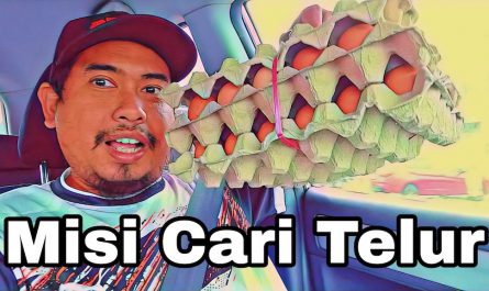 Misi Mencari Telur Ayam