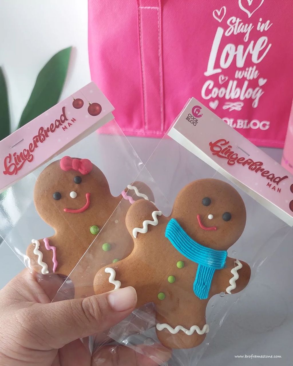 coolblog gingerbread