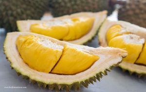 Durian Agro Best Services