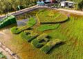 JATI Malaysia’s Largest Paddy Art Formation at MAHA 2026