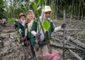 Hektar REIT Plants 200 Mangrove Trees at Kuala Selangor Nature Park